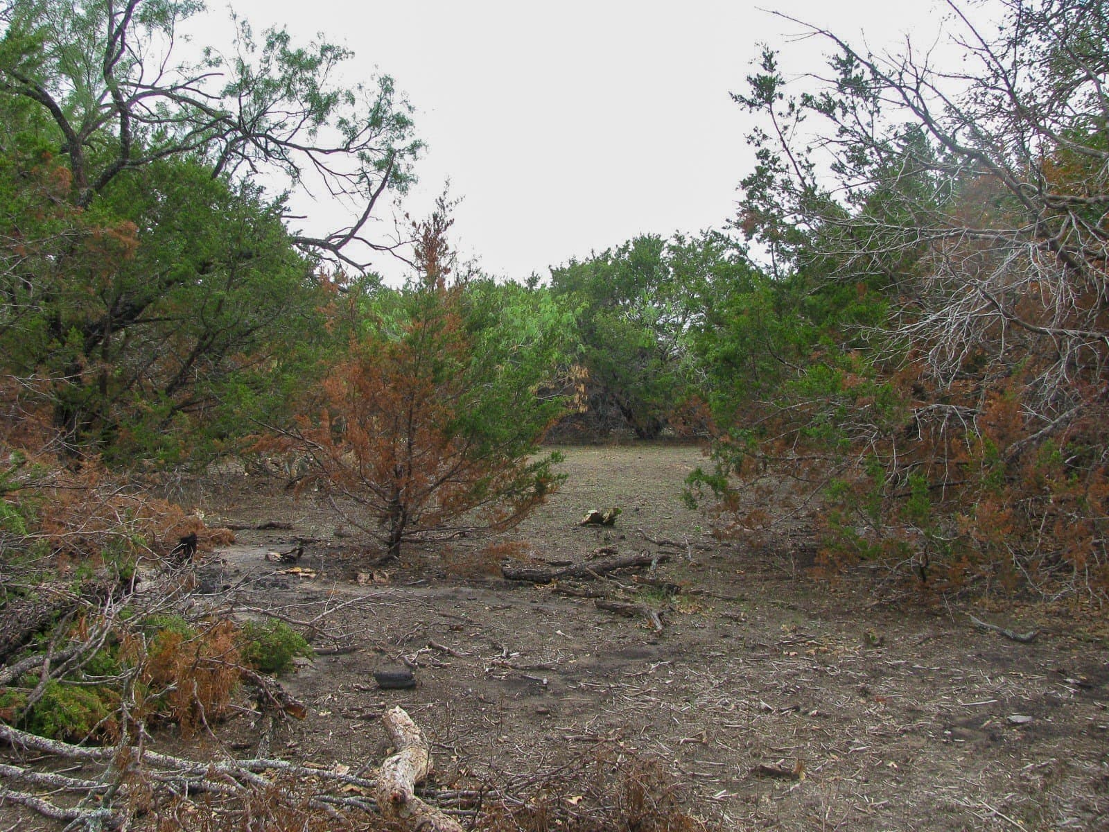 10.01 acres in Hamilton County - photo 4