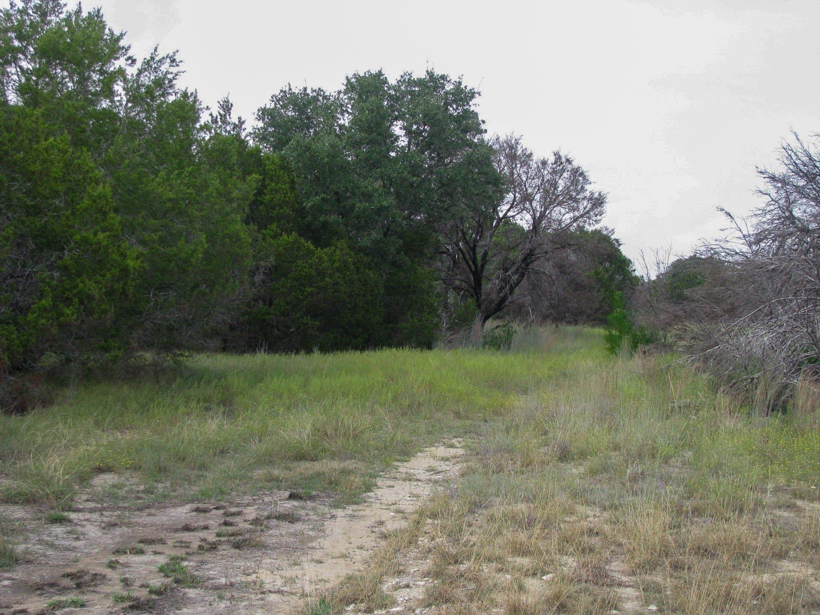 10.01 acres in Hamilton County - photo 10