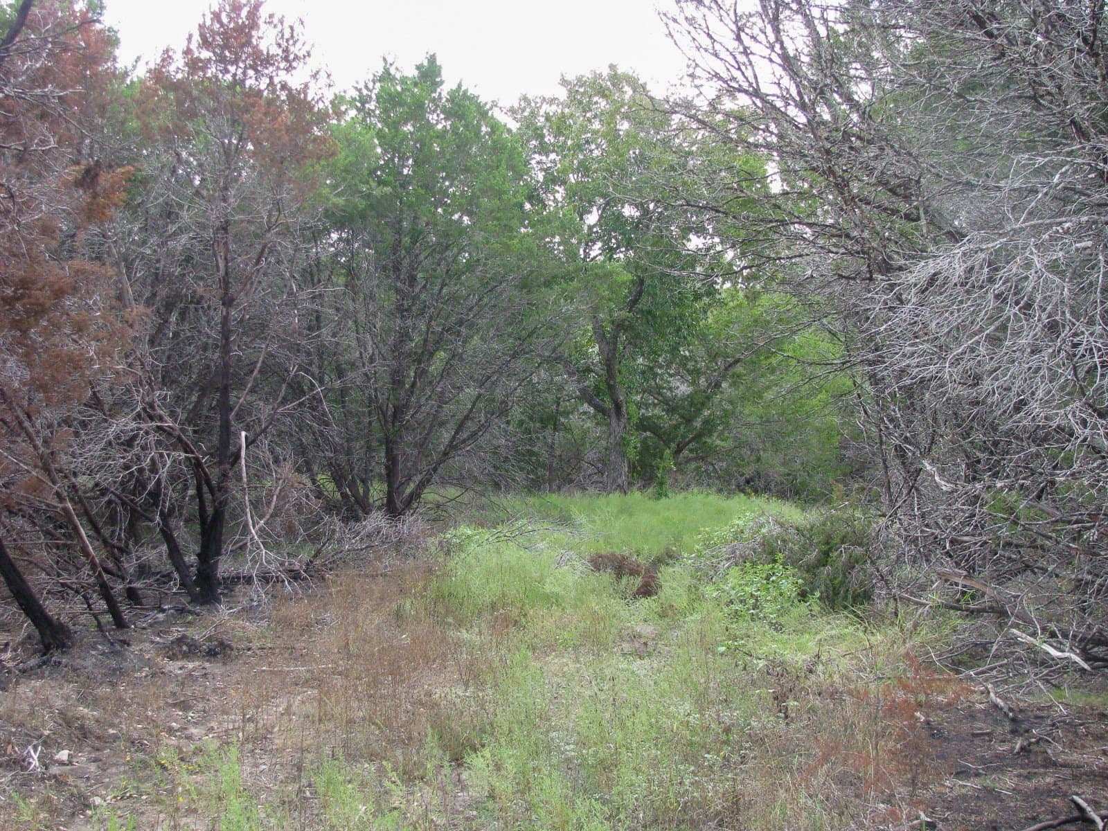 10.01 acres in Hamilton County - photo 11