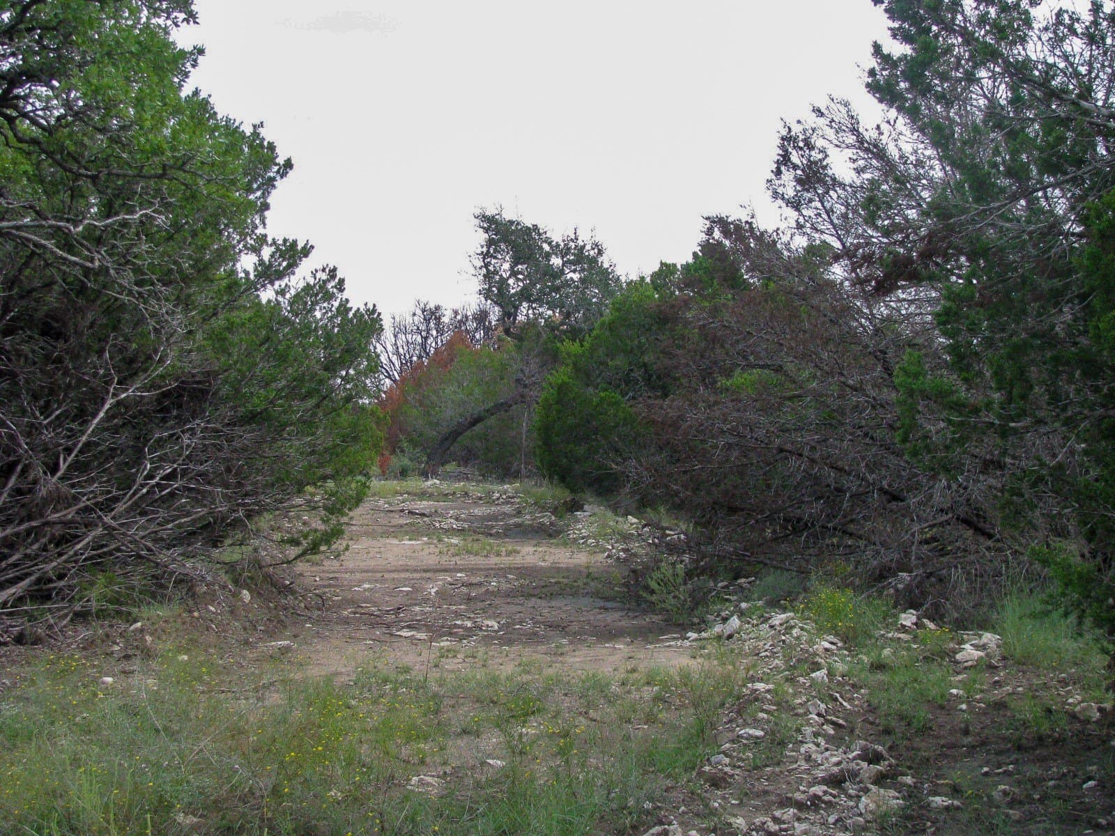 10.01 acres in Hamilton County - photo 14