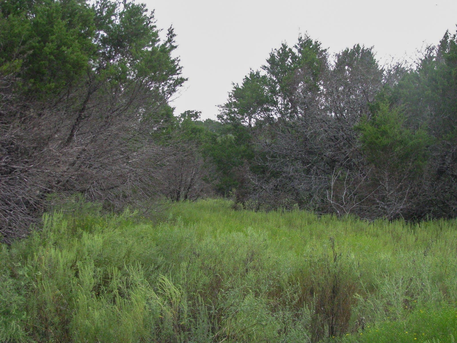 10.01 acres in Hamilton County - photo 13