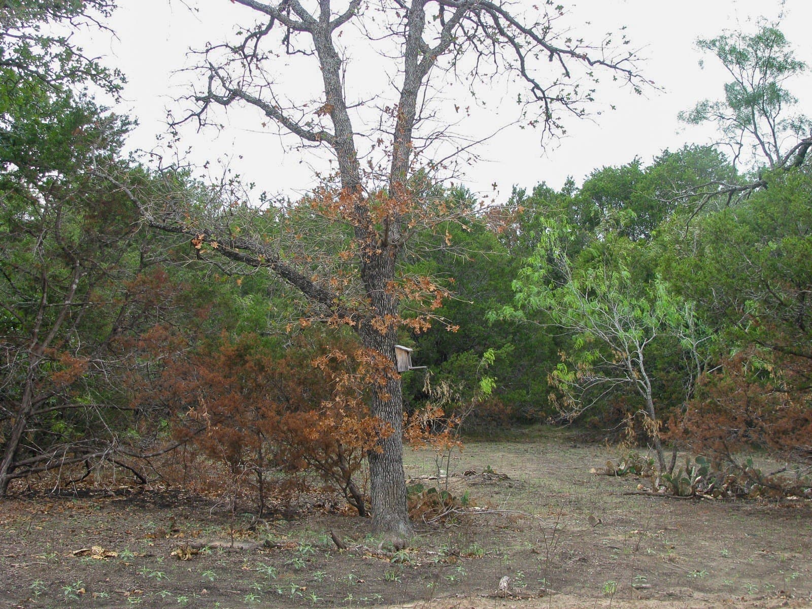 10.01 acres in Hamilton County - photo 6