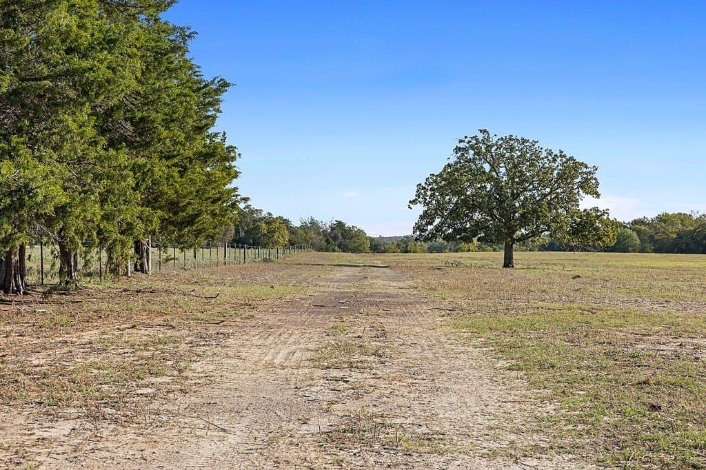 72.14 acres in Lee County - photo 16