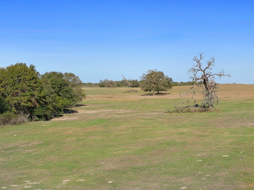 72.14 acres in Lee County - photo 25