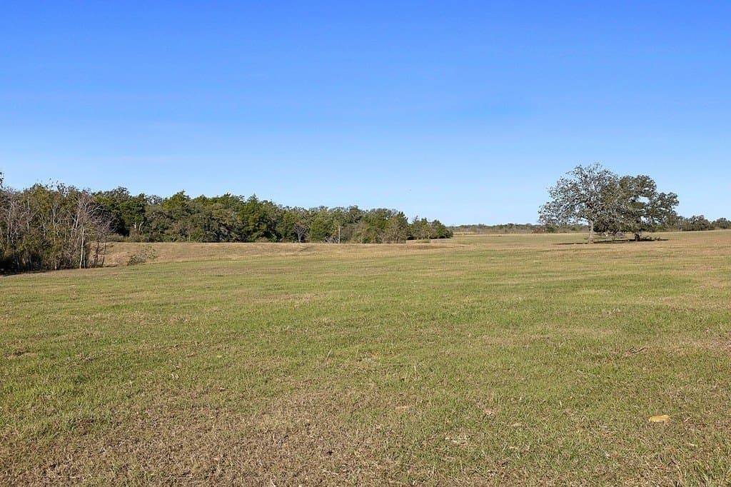 72.14 acres in Lee County - photo 10