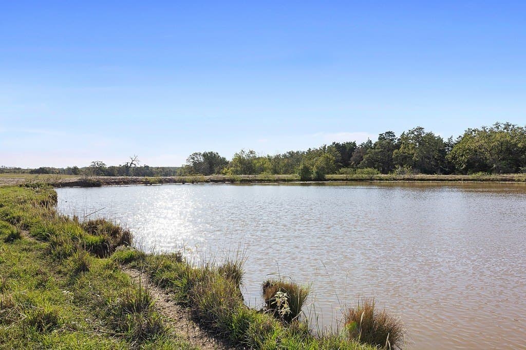 72.14 acres in Lee County gallery image 4