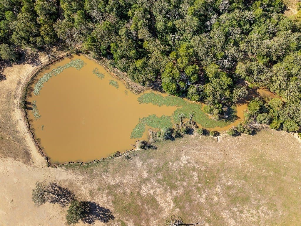 72.14 acres in Lee County - photo 21