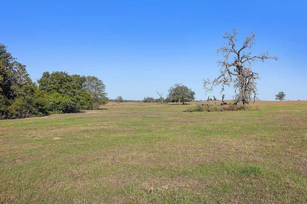 72.14 acres in Lee County - photo 24