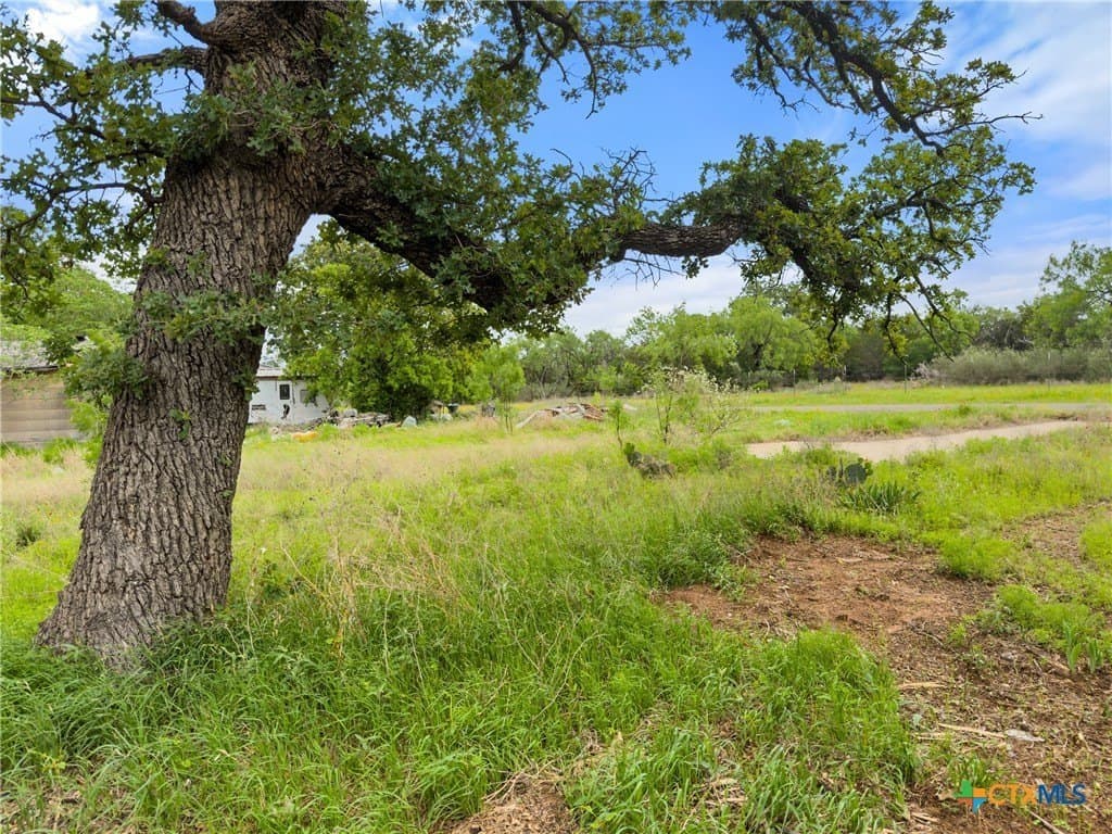 0.34 acres in Burnet County - photo 9