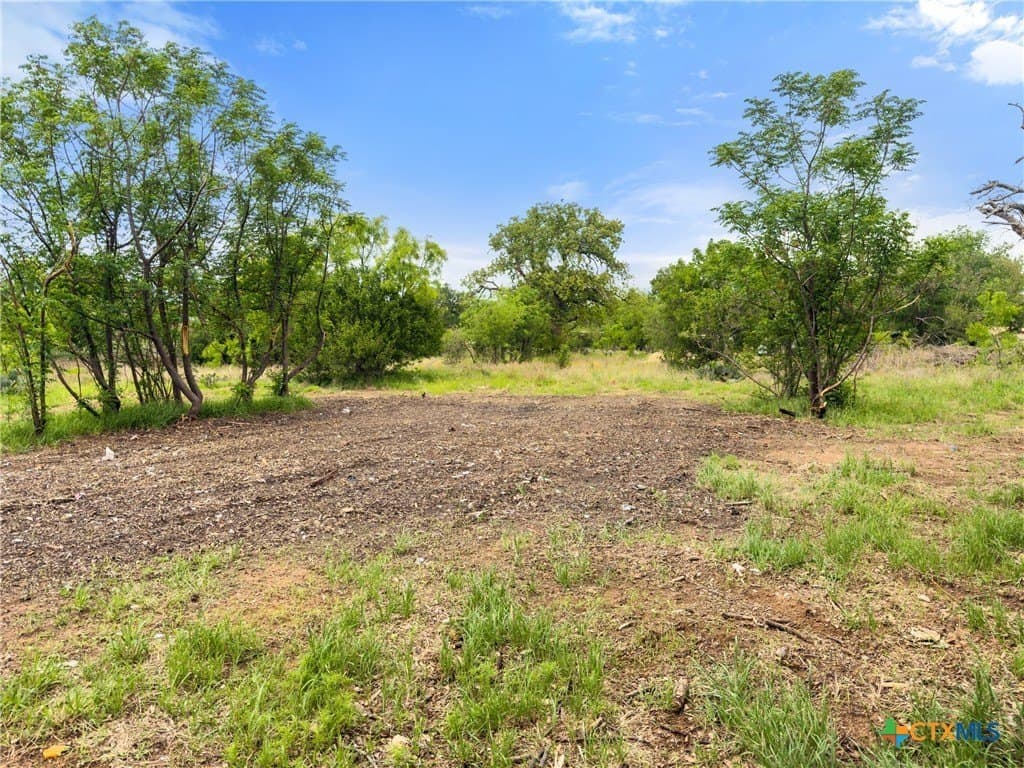 0.34 acres in Burnet County - photo 5