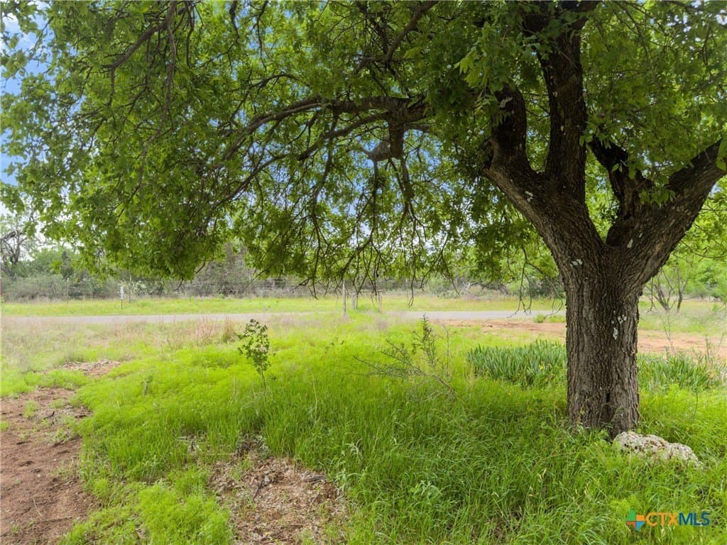 0.34 acres in Burnet County - photo 8