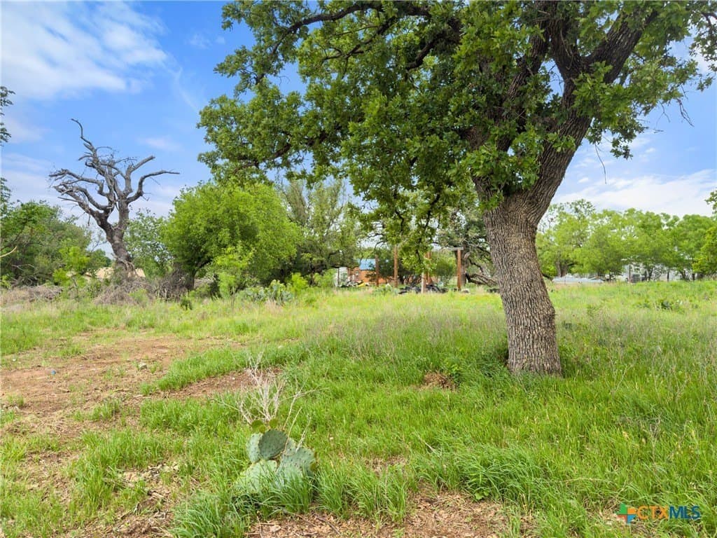 0.34 acres in Burnet County - photo 11