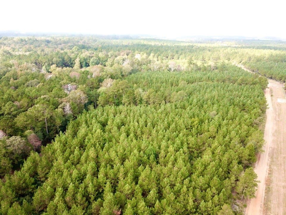 10.2 acres in Texas County featured view