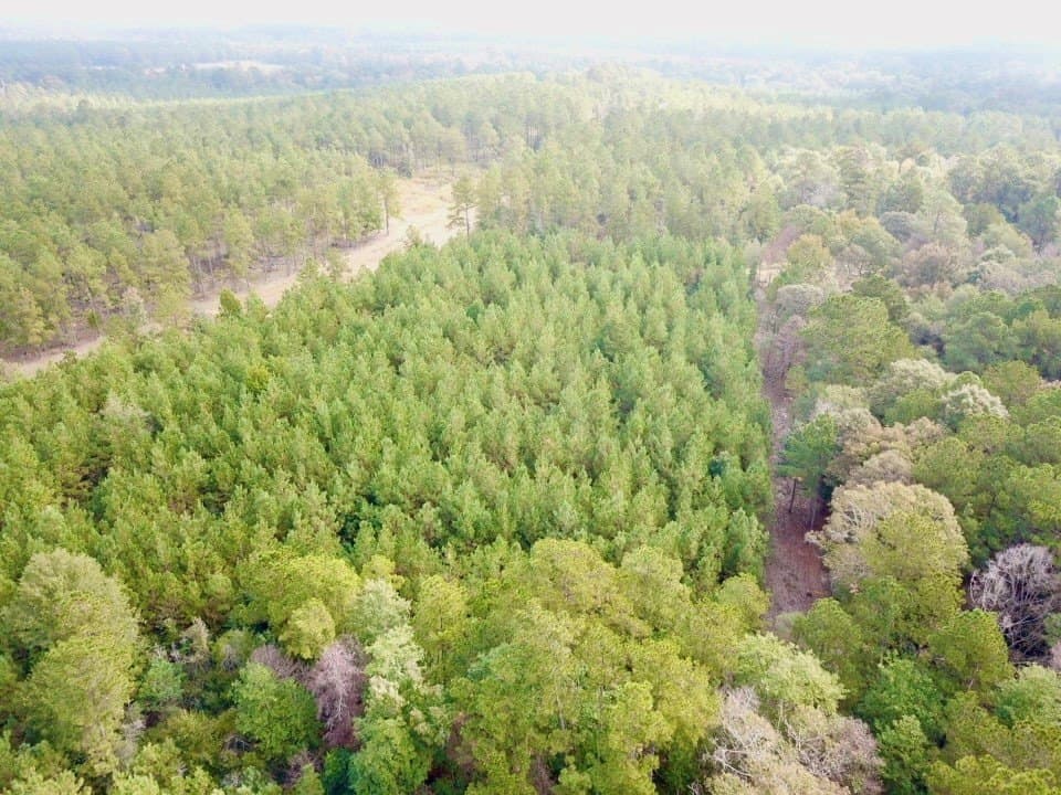 10.2 acres in Texas County gallery image 4