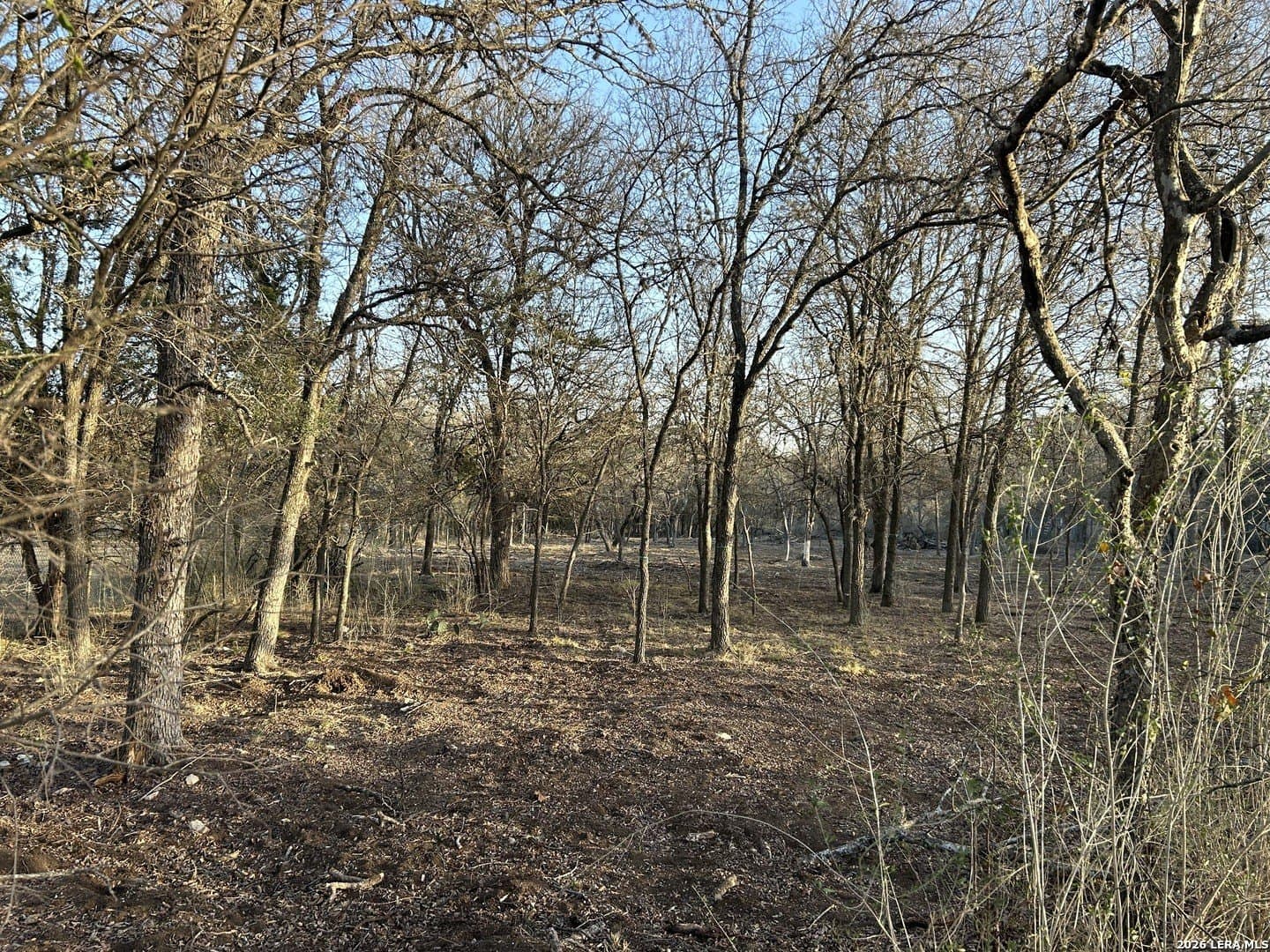 2.7 acres in Bexar County gallery image 2