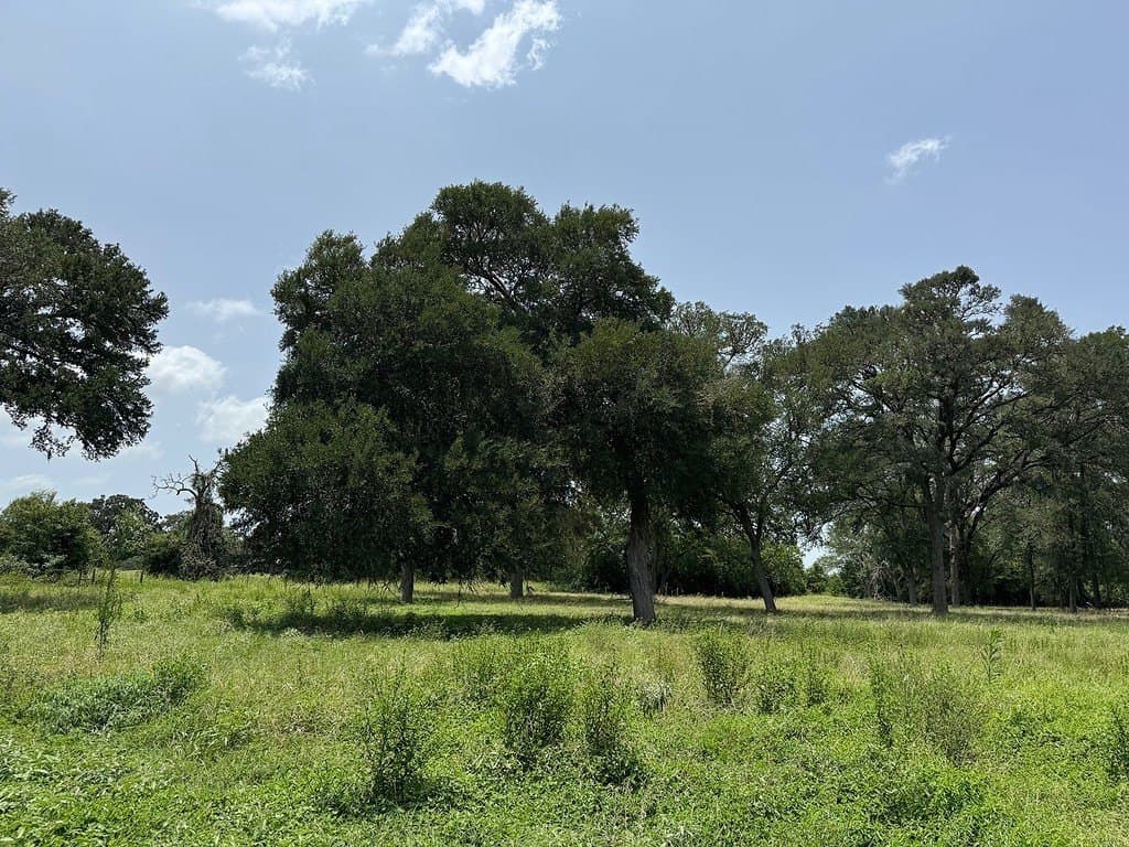 7.79 acres in Fayette County gallery image 3