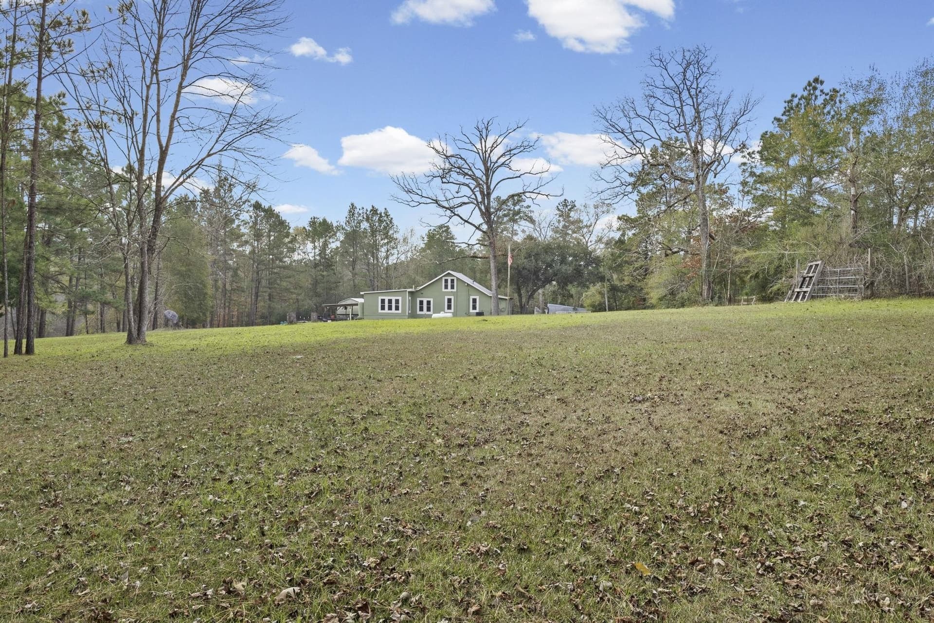 33.35 acres in Tyler County gallery image 2