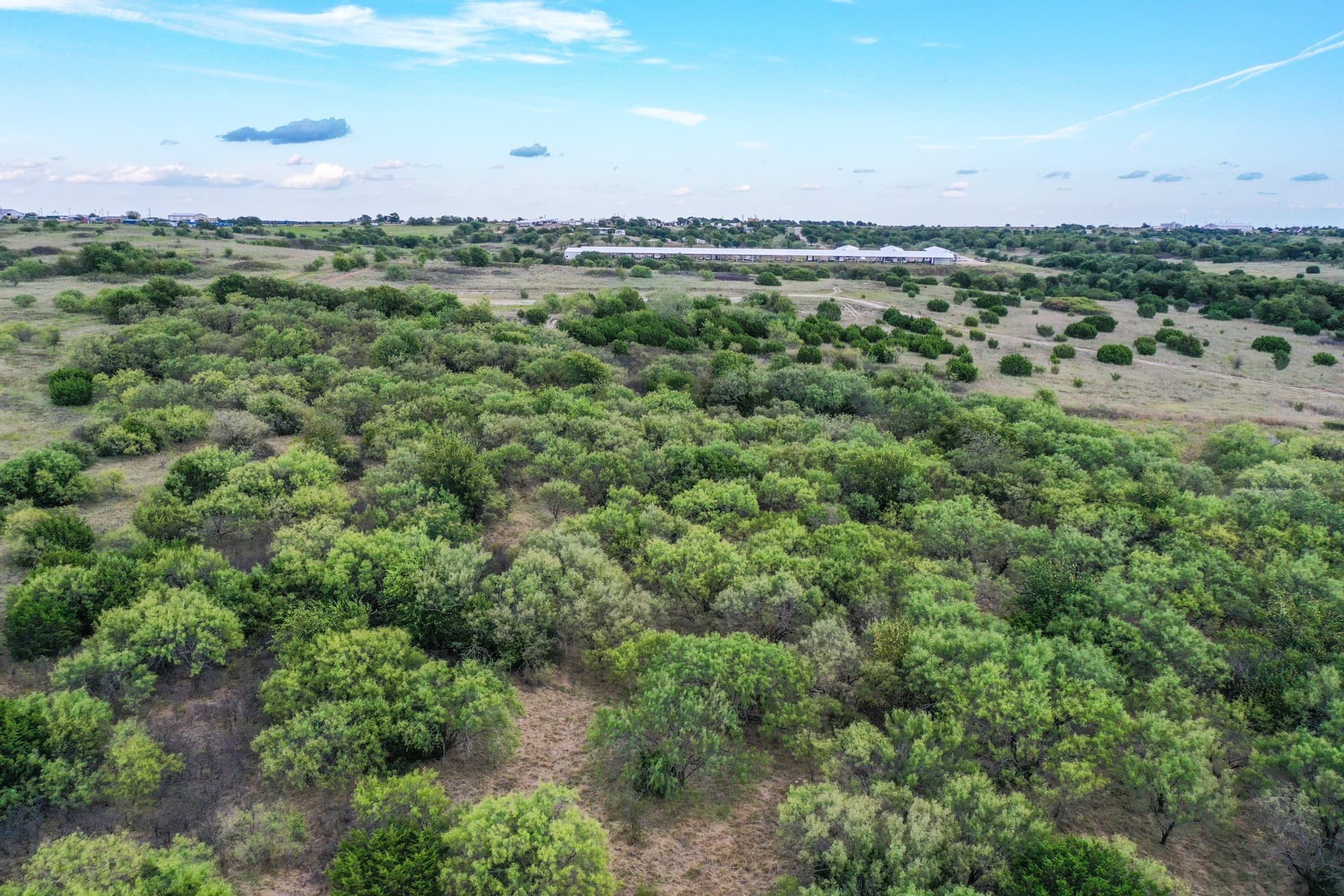 44 acres in Parker County - photo 16