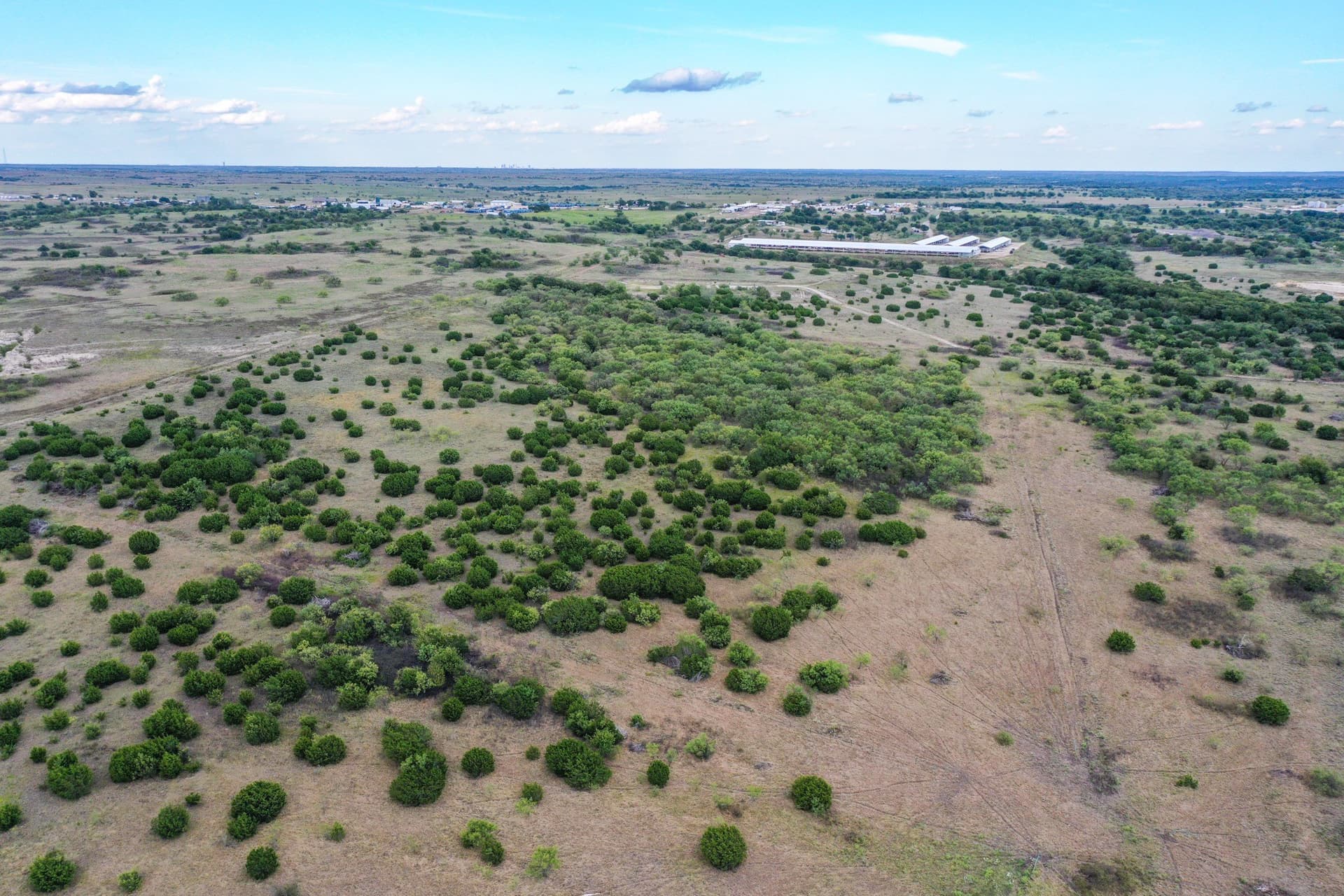 44 acres in Parker County - photo 7