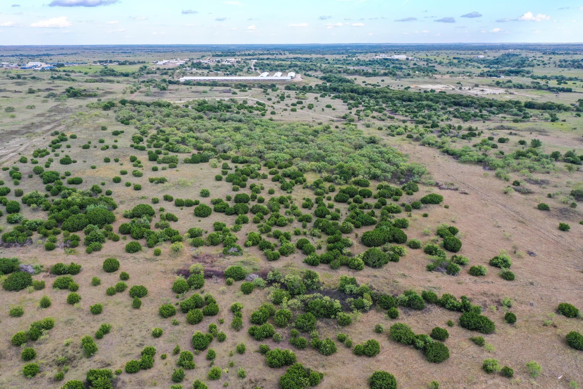 44 acres in Parker County - photo 6