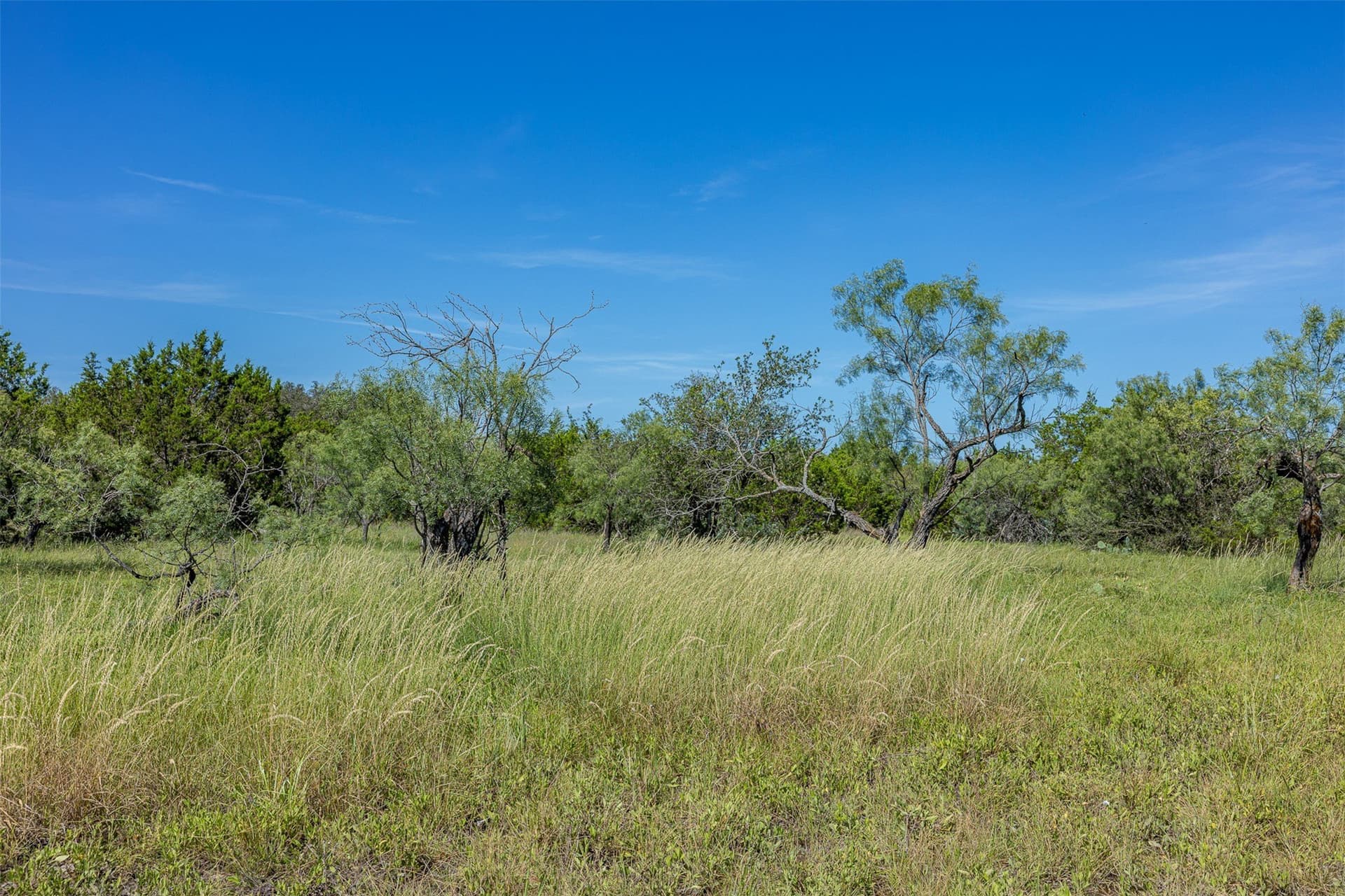 417 acres in McCulloch County - photo 19