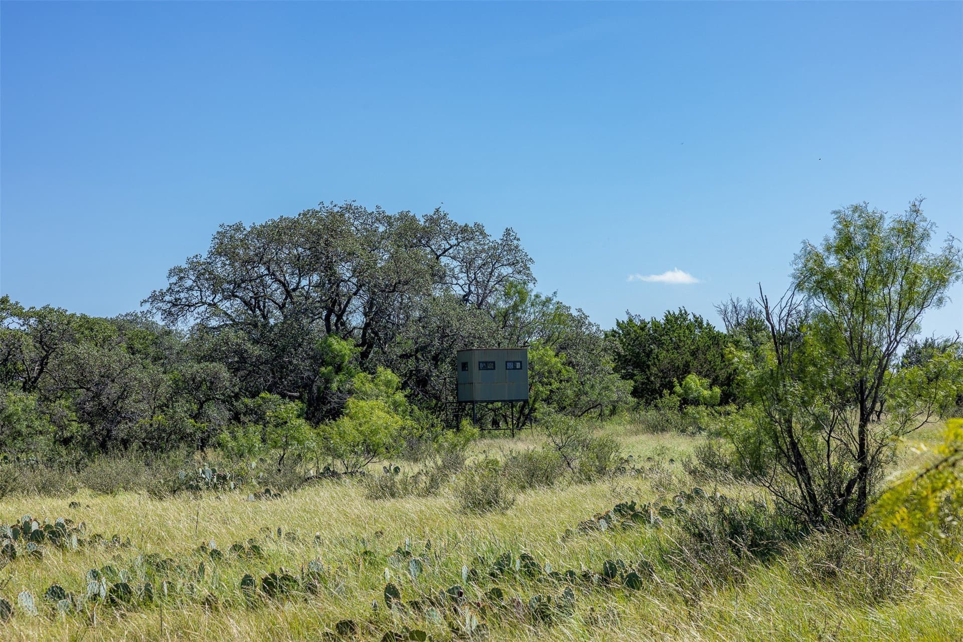 417 acres in McCulloch County - photo 17