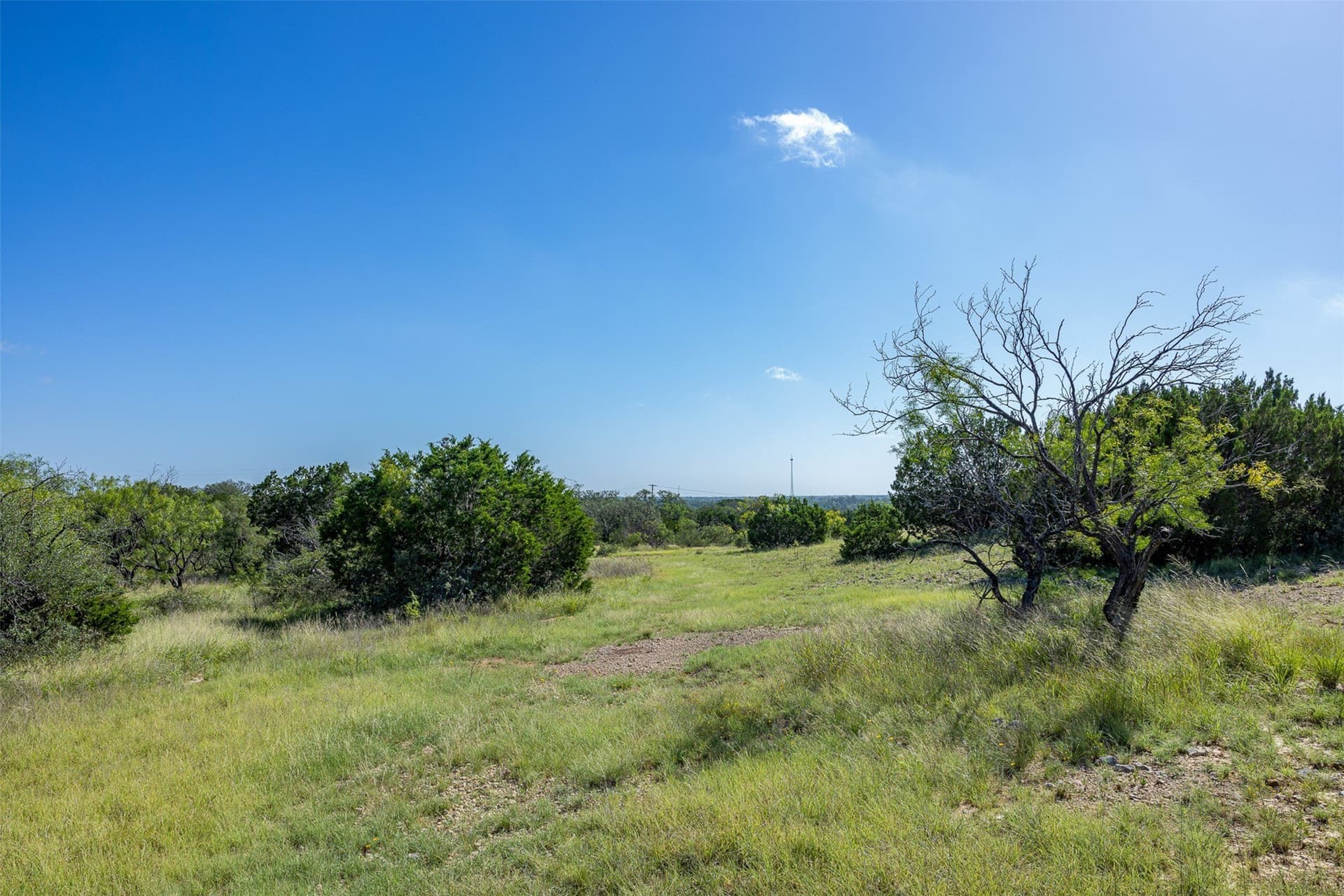417 acres in McCulloch County - photo 37