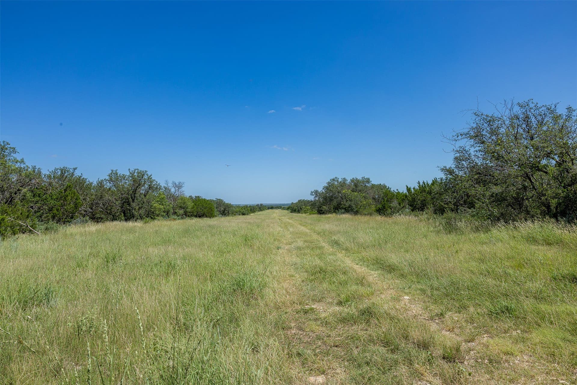 417 acres in McCulloch County - photo 9