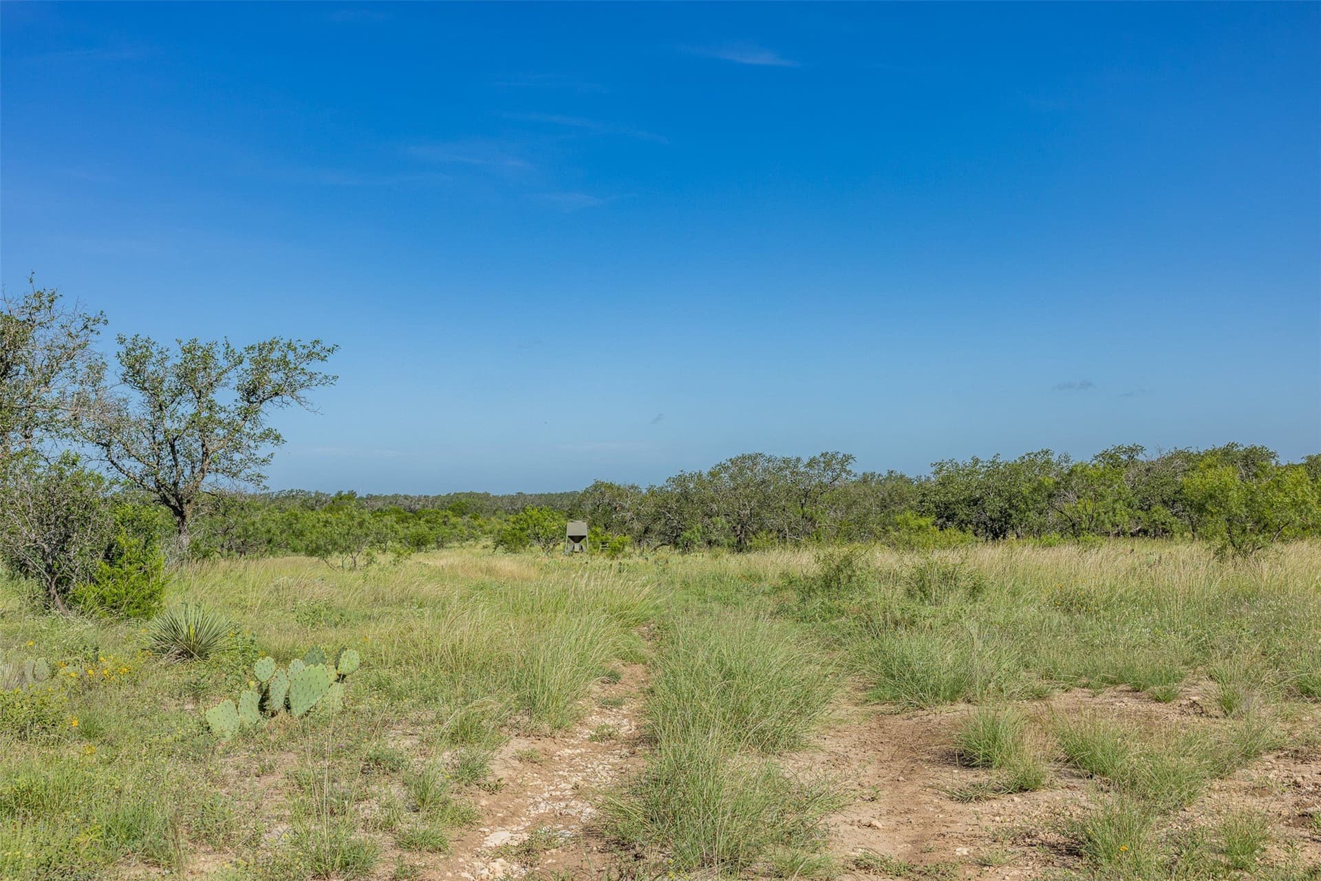417 acres in McCulloch County - photo 23