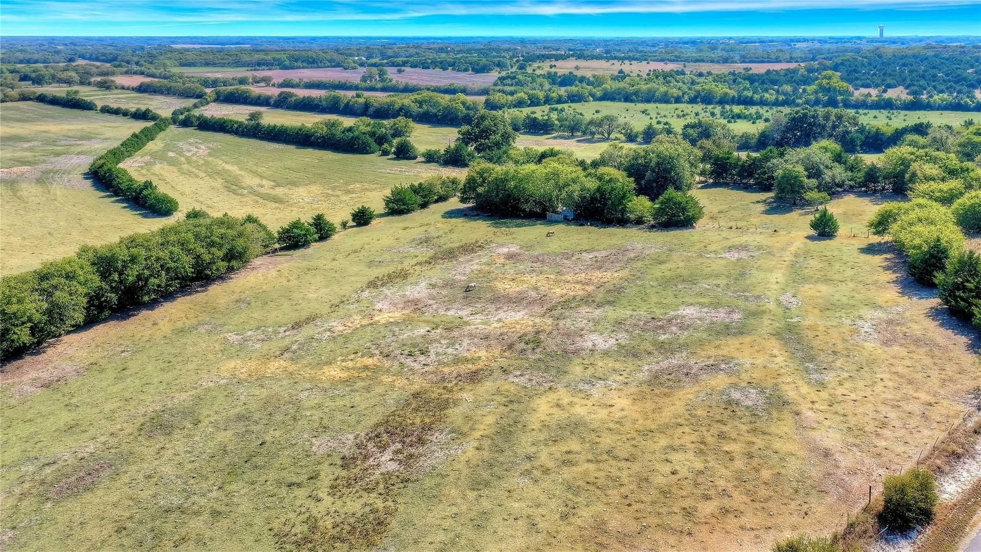 68.38 acres in Grayson County gallery image 4