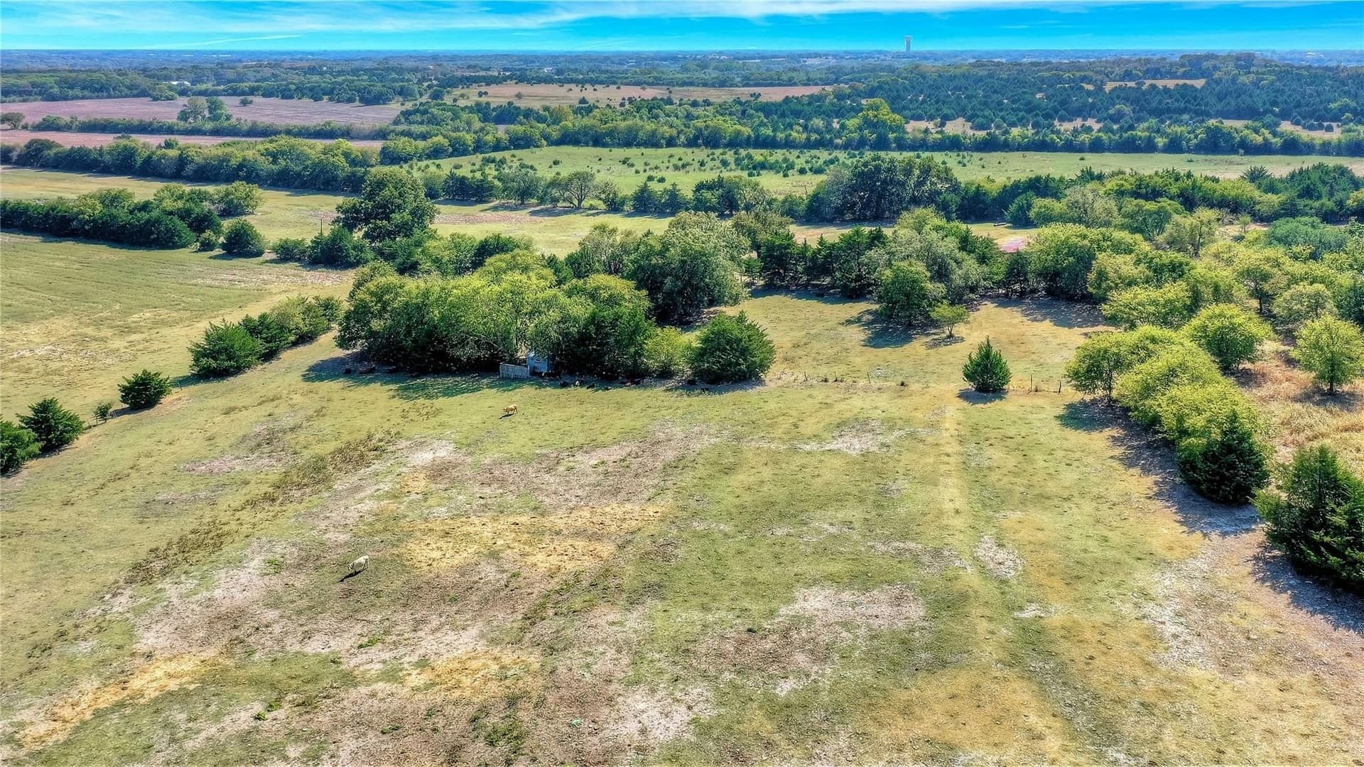 68.38 acres in Grayson County - photo 11