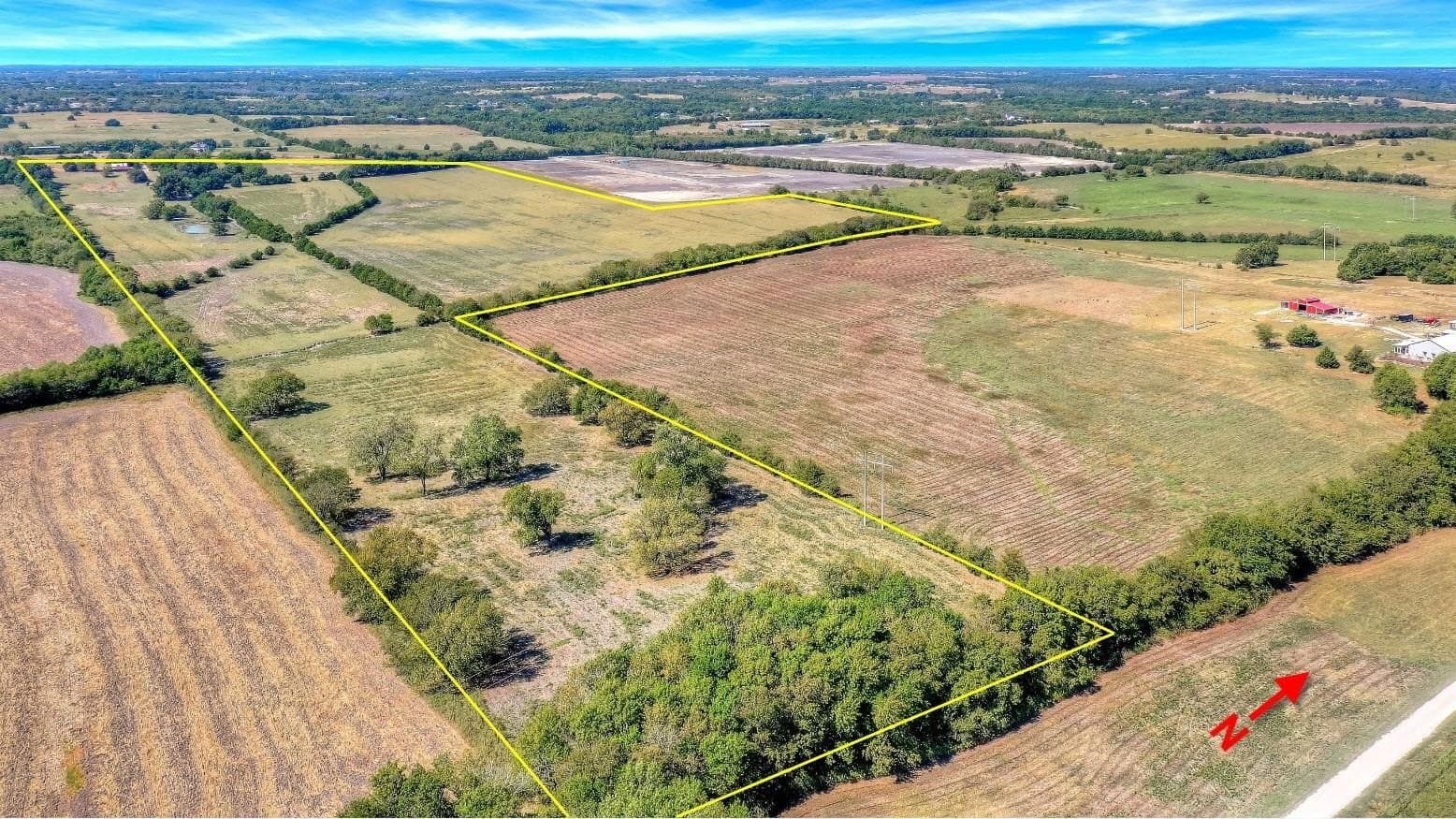 68.38 acres in Grayson County gallery image 3