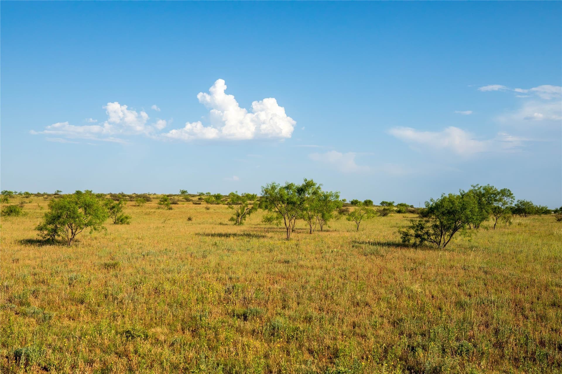 263.54 acres in Mitchell County - photo 23