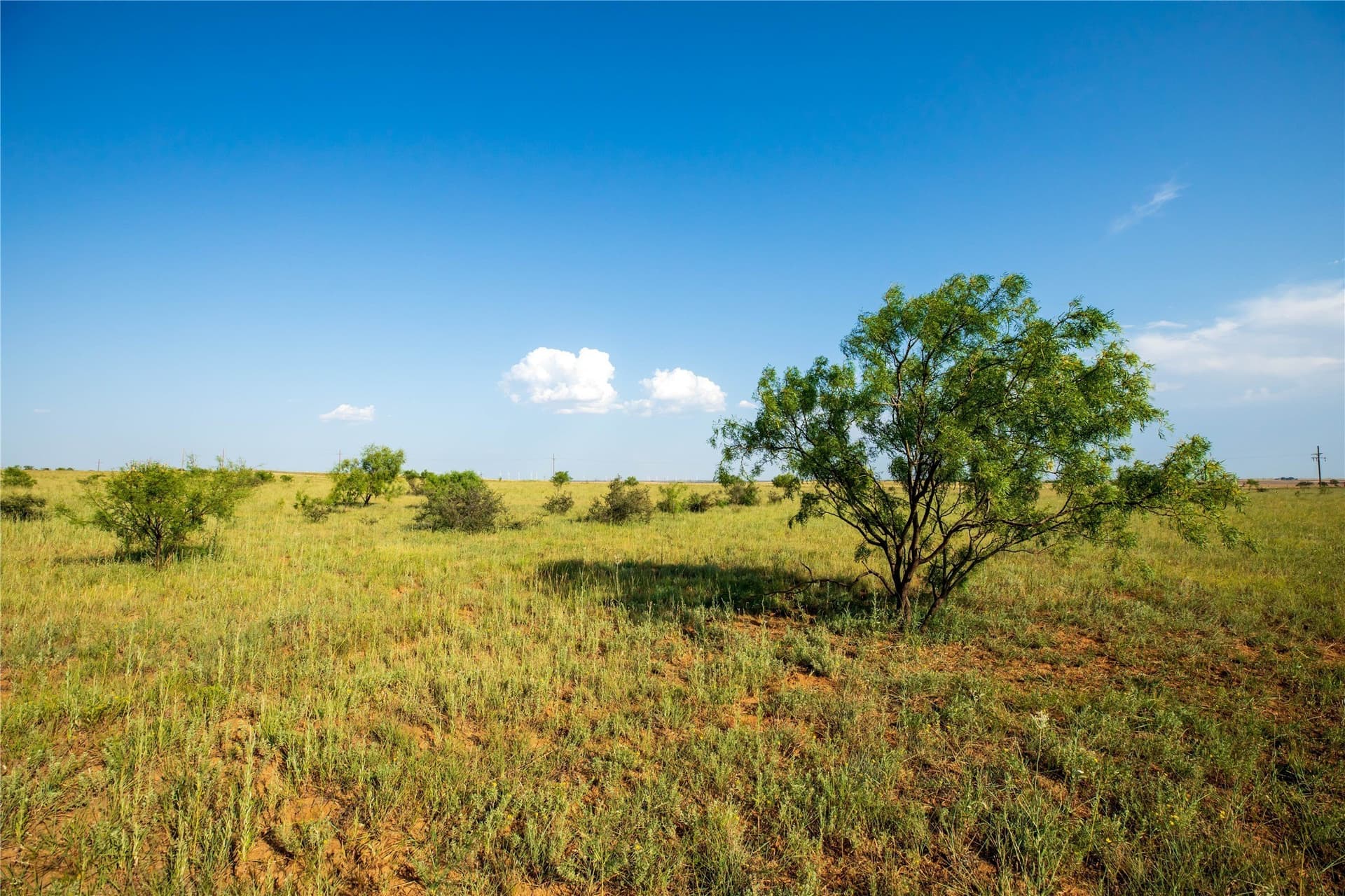 263.54 acres in Mitchell County - photo 10