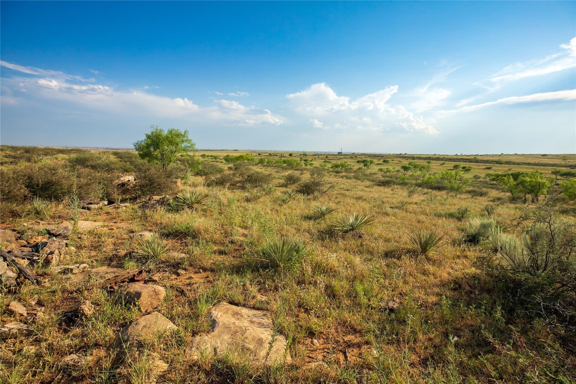 263.54 acres in Mitchell County - photo 28