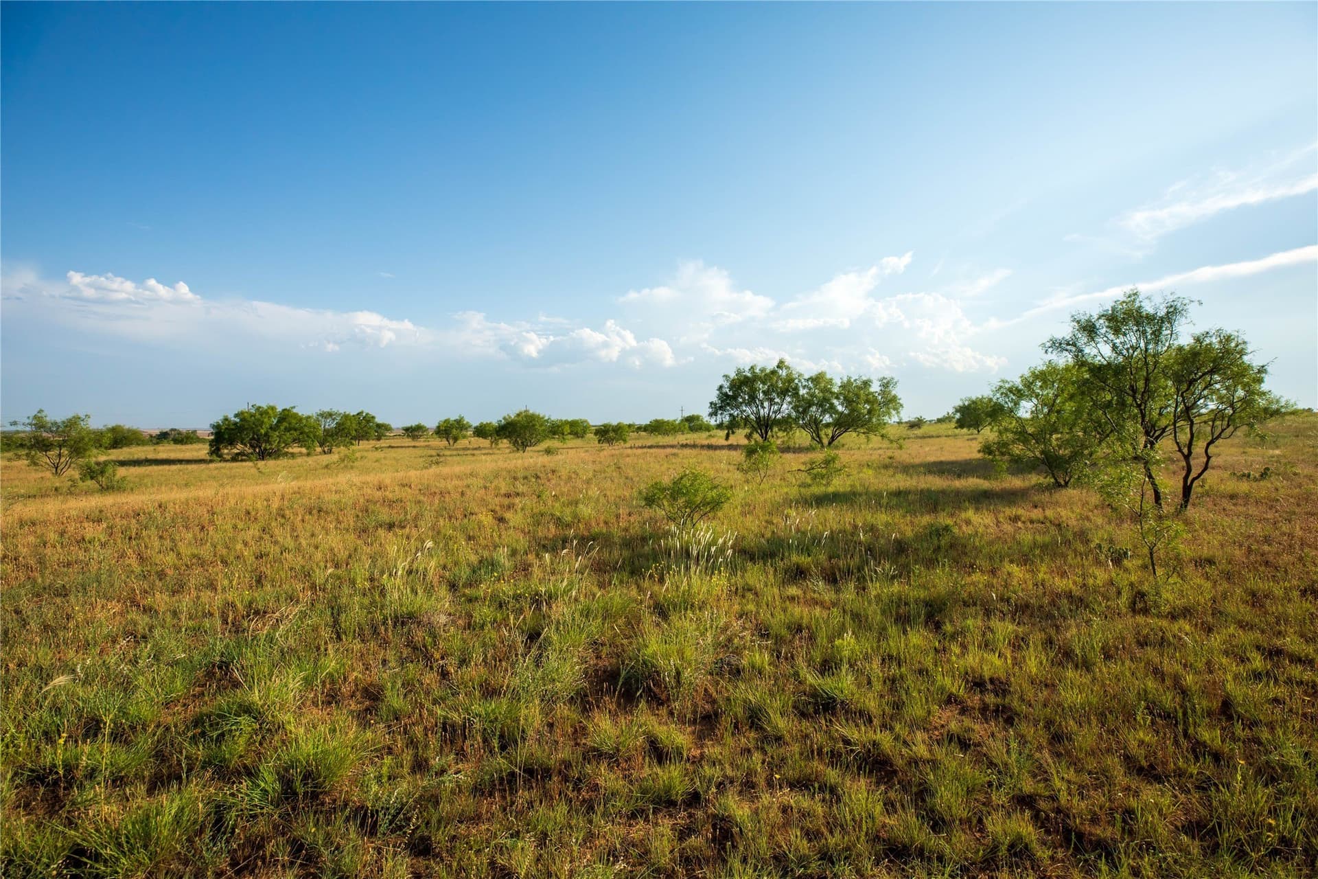 263.54 acres in Mitchell County - photo 33