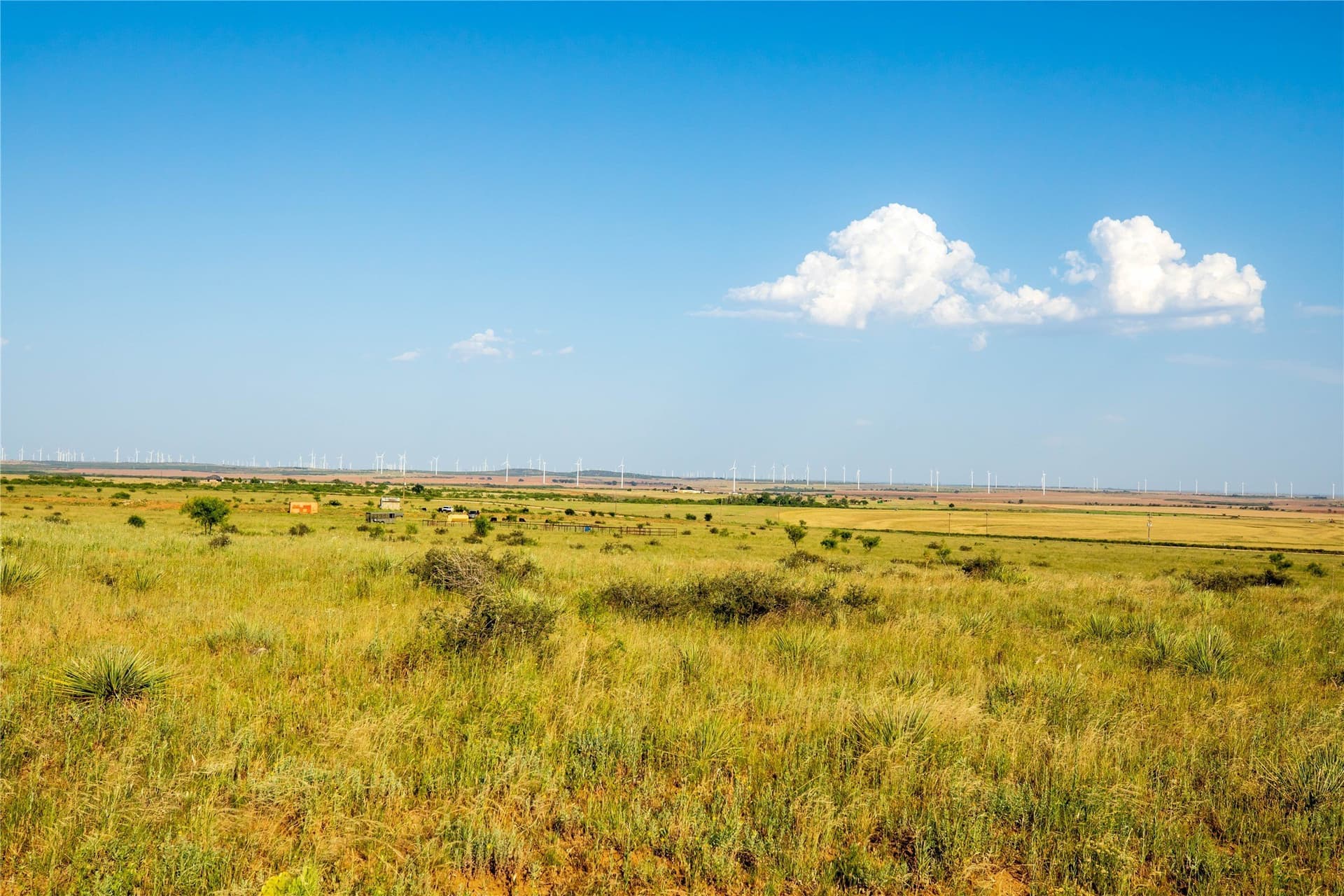 263.54 acres in Mitchell County - photo 18