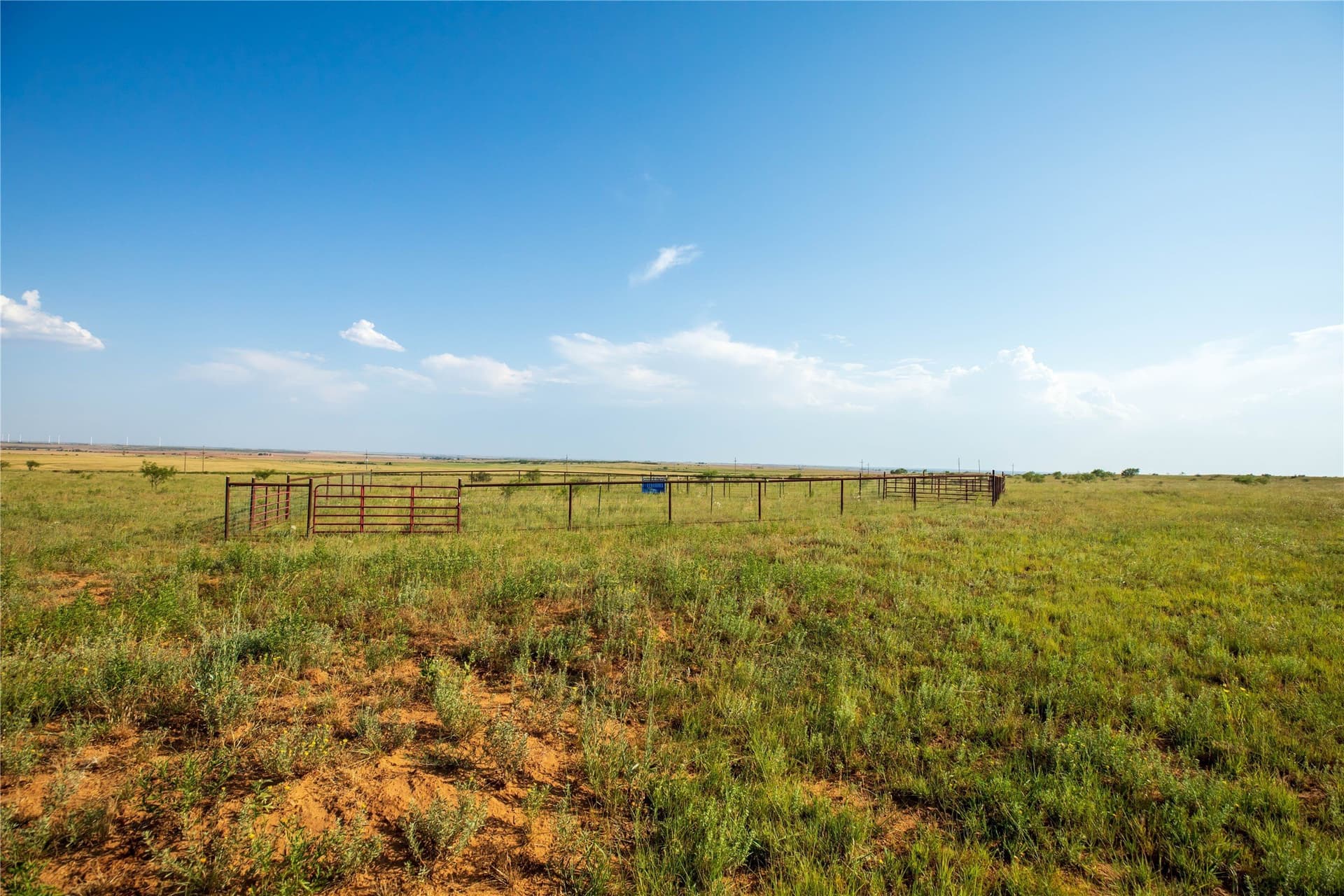 263.54 acres in Mitchell County - photo 7