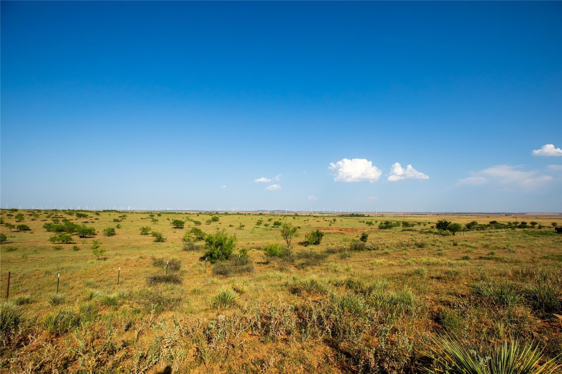 263.54 acres in Mitchell County gallery image 4
