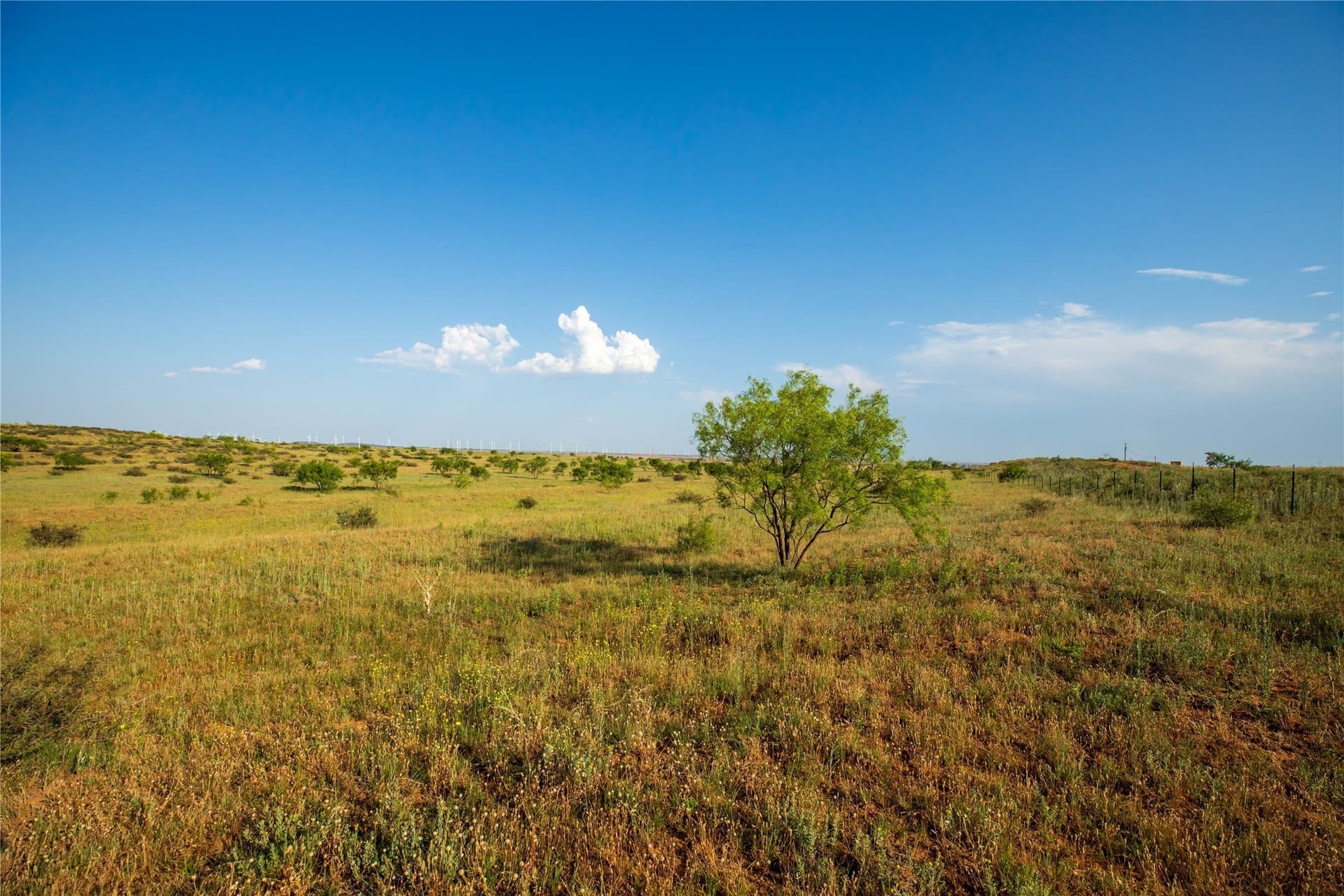 263.54 acres in Mitchell County - photo 22