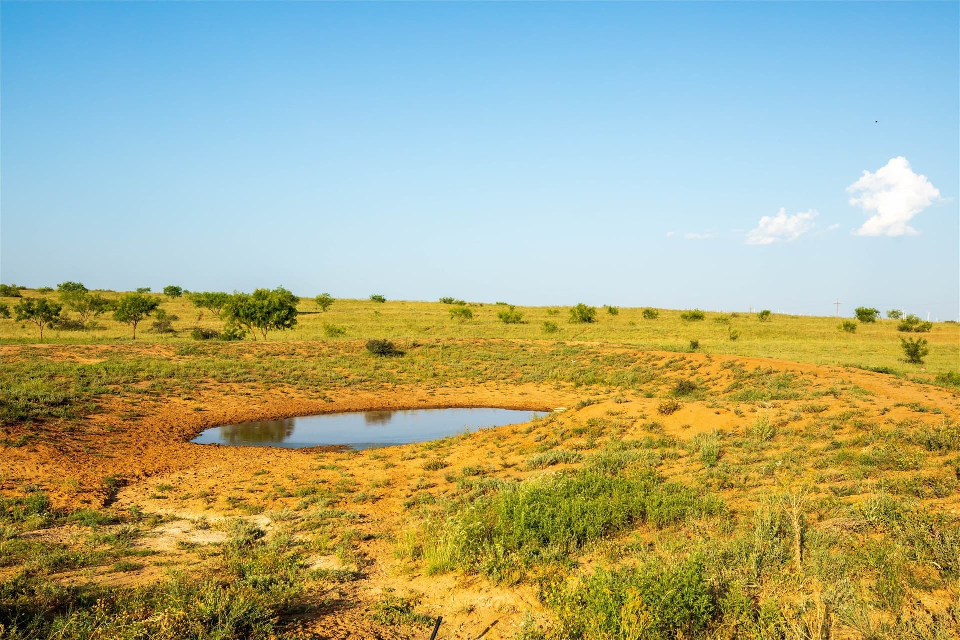 263.54 acres in Mitchell County - photo 38