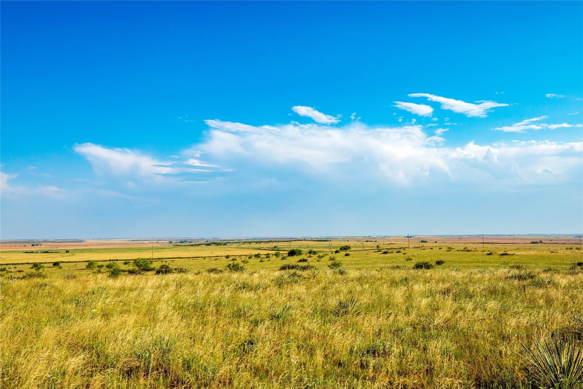 263.54 acres in Mitchell County - photo 16