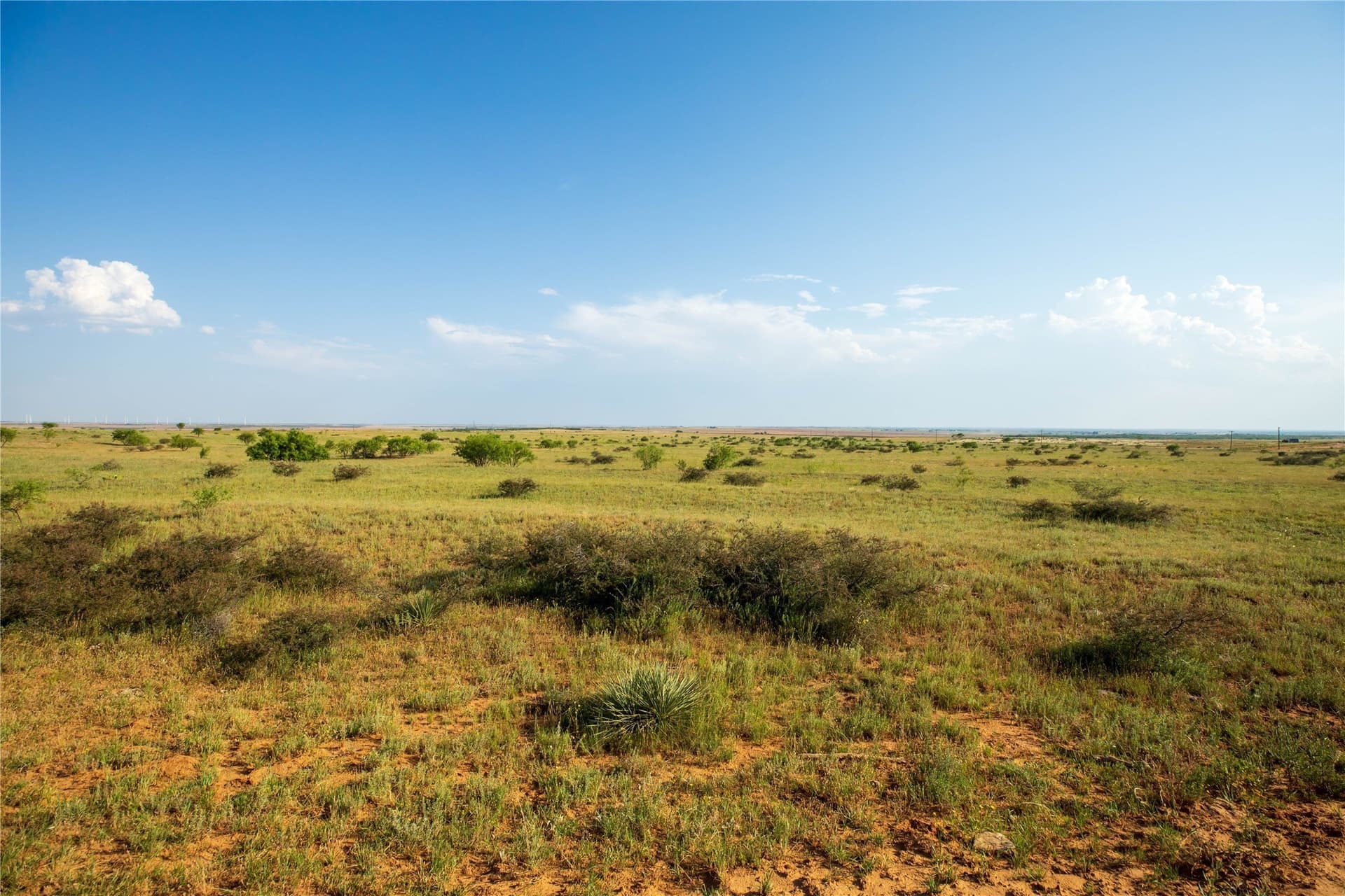 263.54 acres in Mitchell County - photo 11