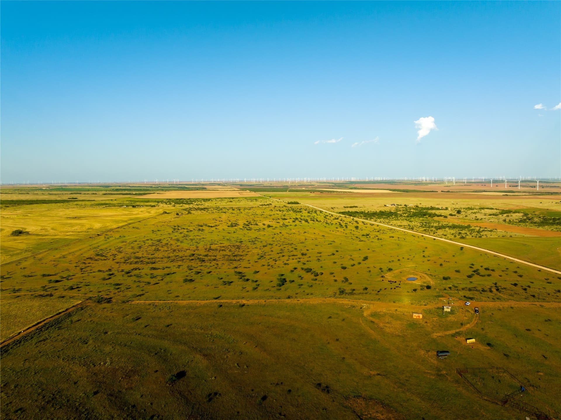 263.54 acres in Mitchell County - photo 8