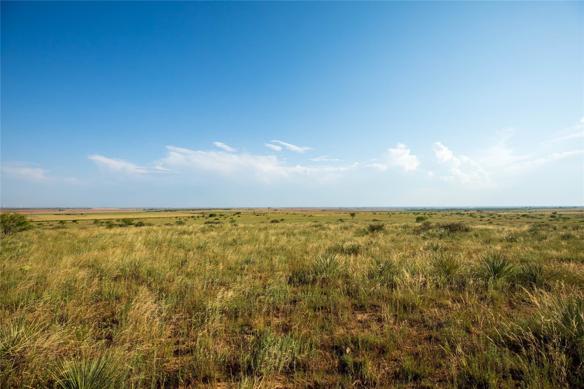 263.54 acres in Mitchell County - photo 15