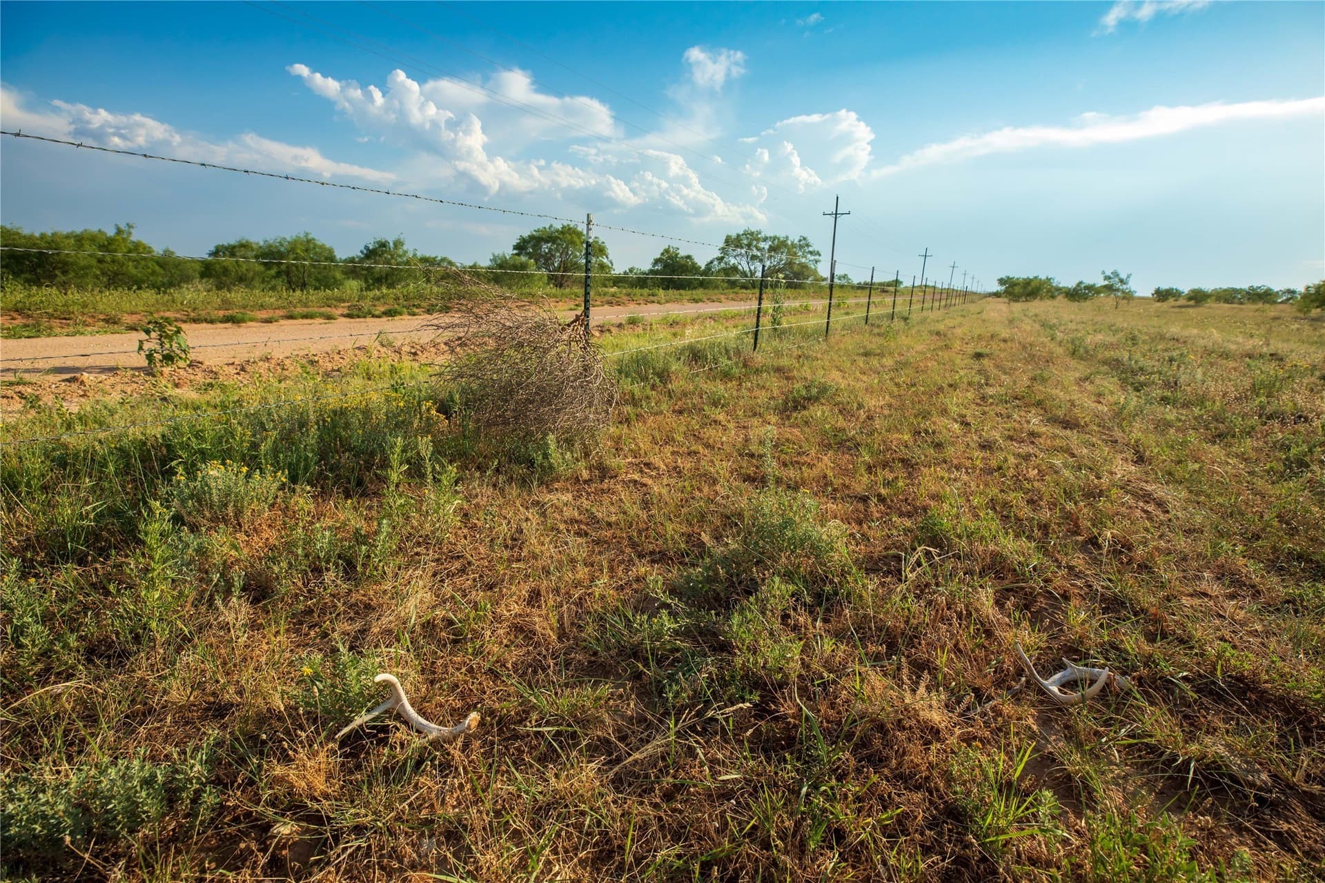 263.54 acres in Mitchell County - photo 37