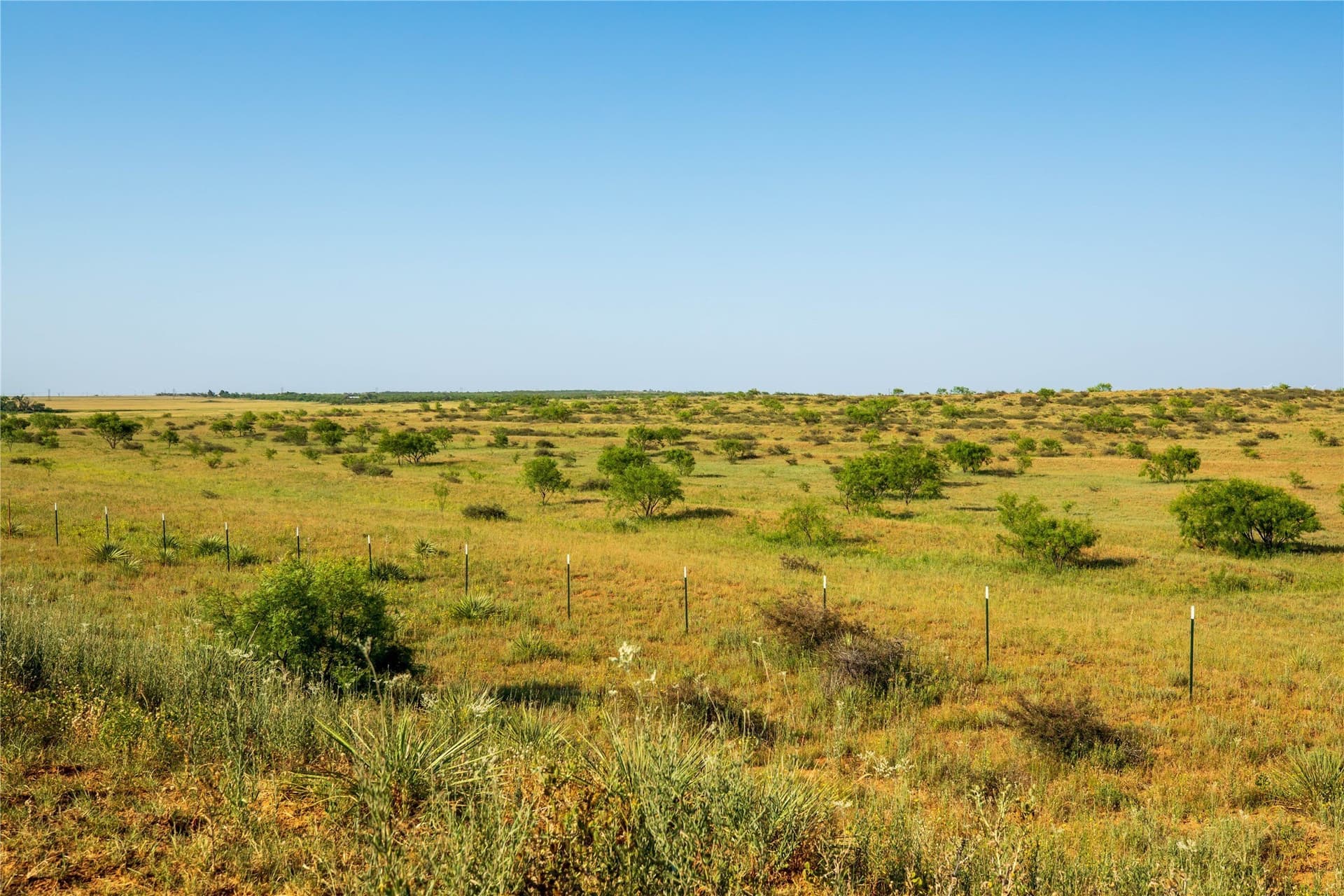 263.54 acres in Mitchell County - photo 6