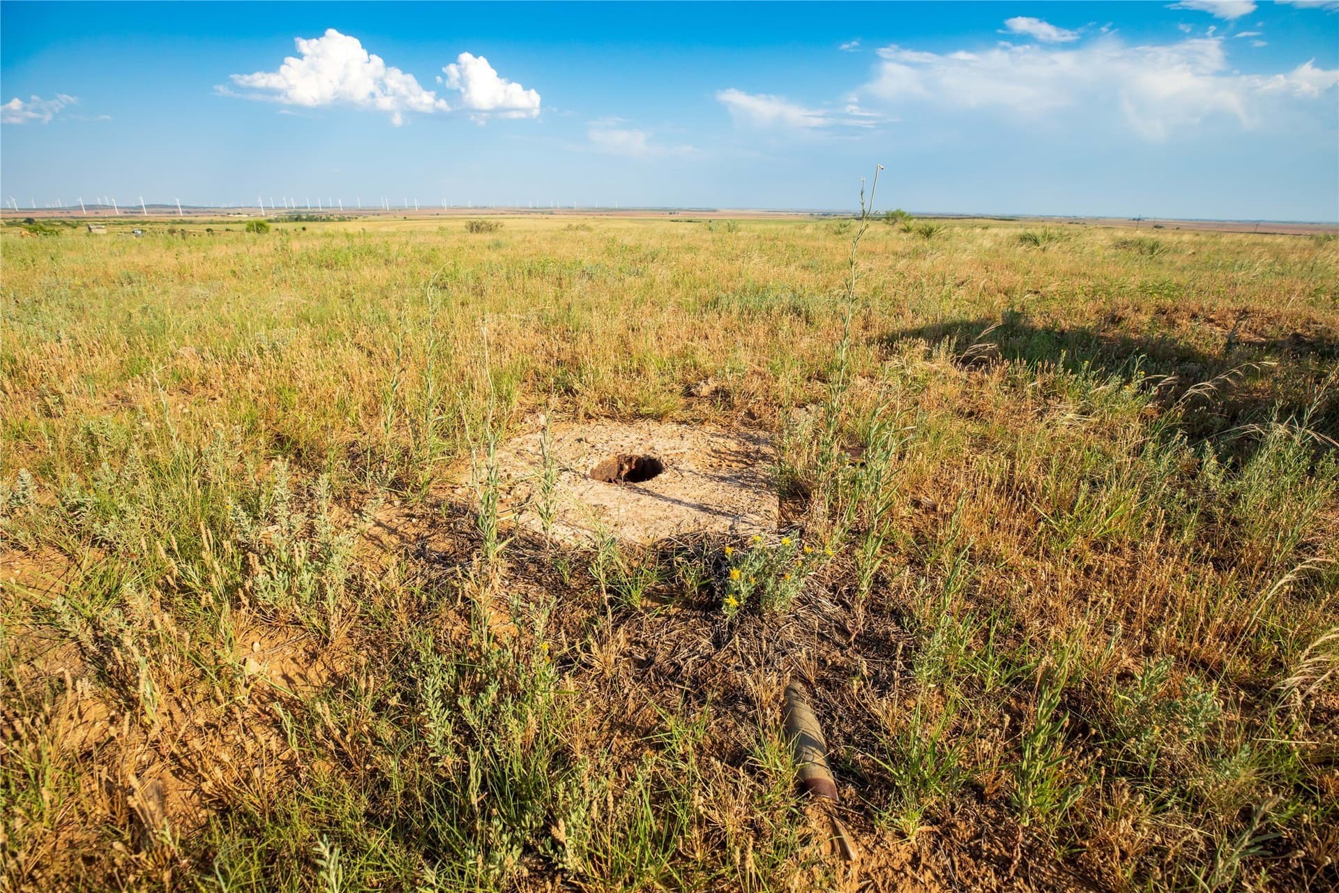 263.54 acres in Mitchell County - photo 14
