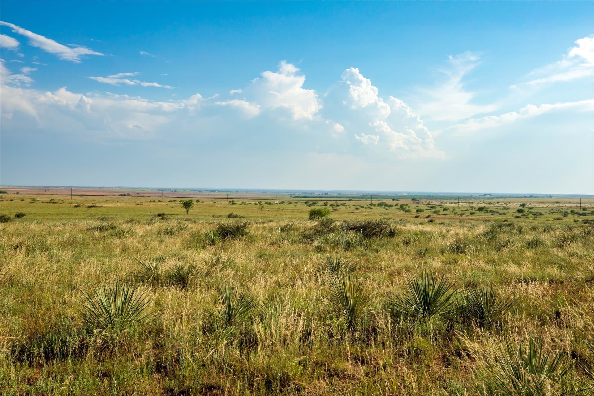 263.54 acres in Mitchell County - photo 17