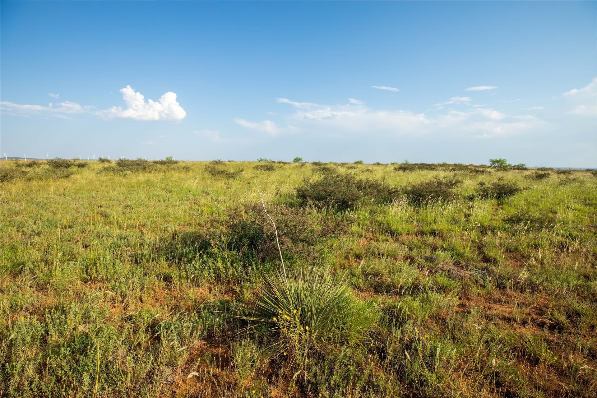 263.54 acres in Mitchell County - photo 24